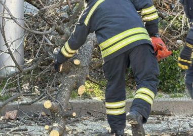 Паднали дървета в Карлово, населени места са без ток