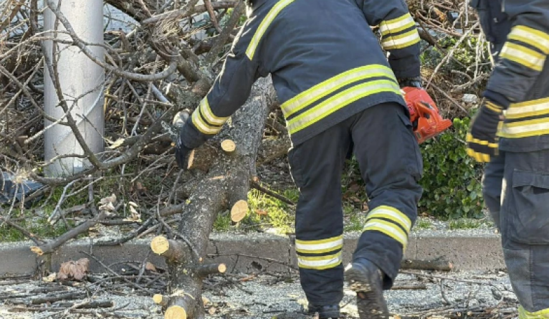 Паднали дървета в Карлово, населени места са без ток
