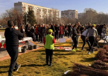 Раздават безплатно 30 000 фиданки в Пловдив