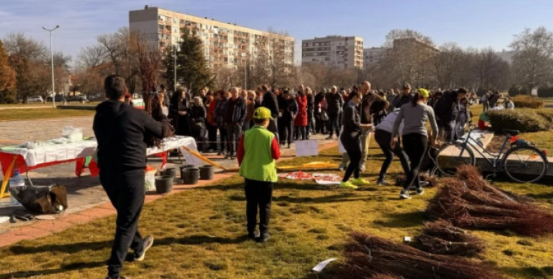 Раздават безплатно 30 000 фиданки в Пловдив