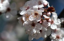 Какво ще е времето през март и ще има ли изненади