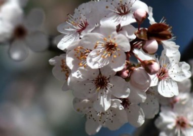 Какво ще е времето през март и ще има ли изненади