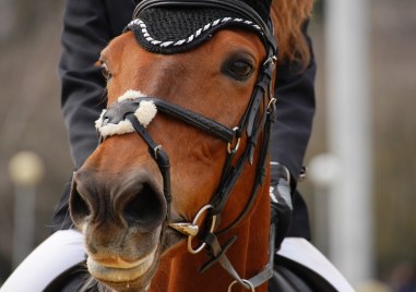 Традиционните конски кушии ще има край Асеновград на Тодоровден