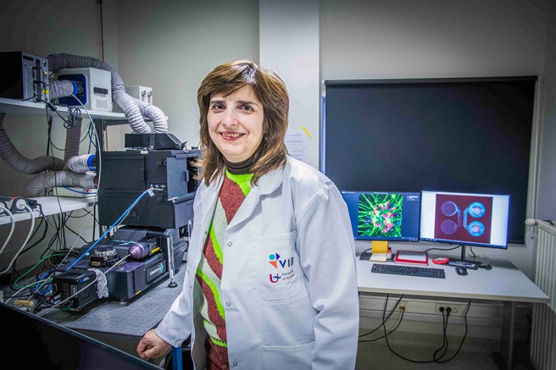 Учен от МУ-София получи международна награда от 1 млн. евро за изследване на СМТ