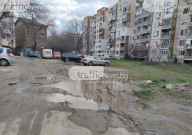 Общината стартира мащабно озеленяване с 3,7 млн. евро, поправя над 40 “кални петна“ в града