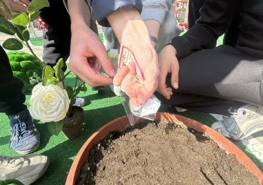 Ученици от пловдивско училище „засадиха“ мартеници, за да поникне доброто