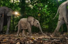 3 март - международен ден на писателите, на дивата природа и на тениса