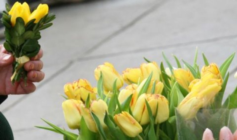 Музикална и поетична вечер ще зарадва дамите в Сопот