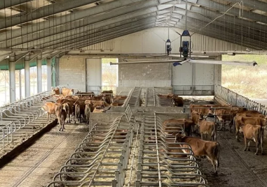 Имоти на бизнесдама от Хисаря отново излизат на търг с намалена цена