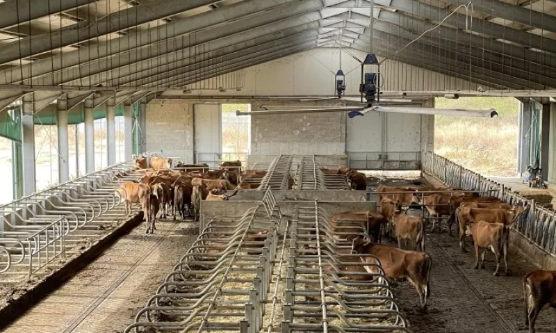 Имоти на бизнесдама от Хисаря отново излизат на търг с намалена цена