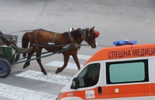 Каруца блъсна пешеходка в Асеновград, жената е в болница