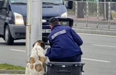 Куче и полицай следят за скоростта на Кукленско шосе