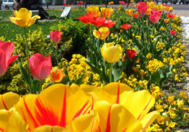 Какво време ни очаква в следващите дни