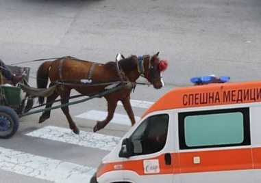 Каруца блъсна пешеходка в Асеновград, жената е в болница