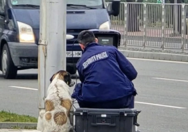 Куче и полицай следят за скоростта на Кукленско шосе