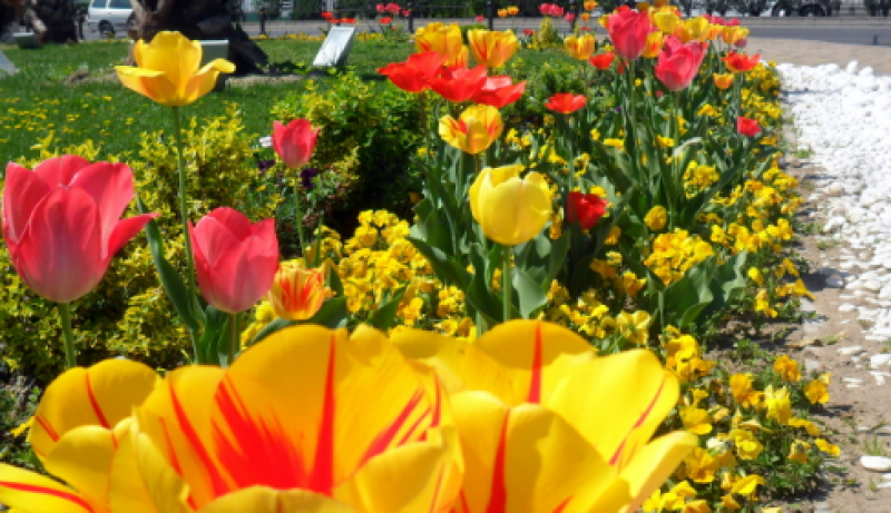 Какво време ни очаква в следващите дни