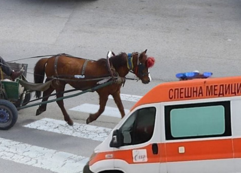 Каруца блъсна пешеходка в Асеновград, жената е в болница