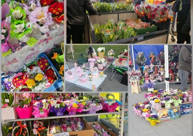 От зюмбюли до сапунени рози: Пловдив празнува 8 март с цветна фиеста