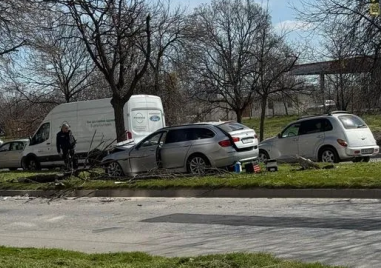 БМВ отнесе дърво в Тракия