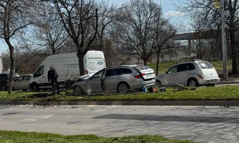 БМВ отнесе дърво в Тракия
