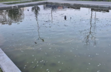 Фонтан в Пловдив се превърна в зловонно блато