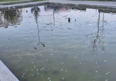 Фонтан в Пловдив се превърна в зловонно блато