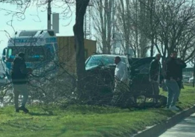 Кола се заби и повали дърво на Околовръстното