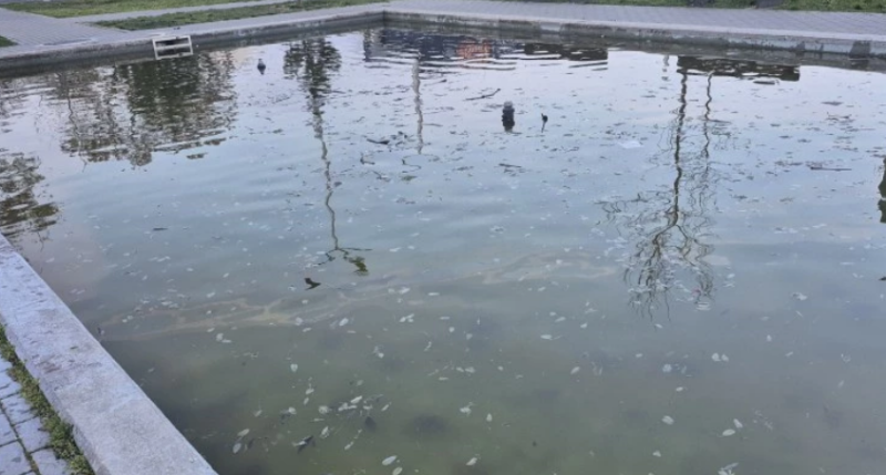 Фонтан в Пловдив се превърна в зловонно блато