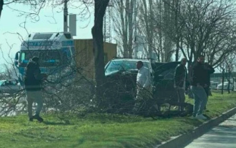 Кола се заби и повали дърво на Околовръстното