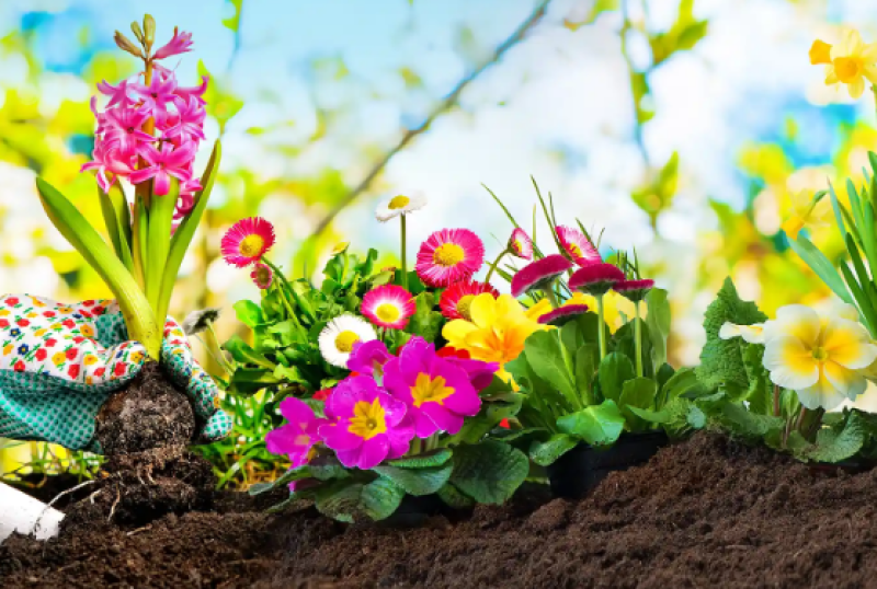 Асеновград отново ще е домакин на изложението „Цветна пролет“