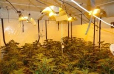 Осем години по-късно: Дело за голяма нарколаборатория в Пловдивско влезе в съда