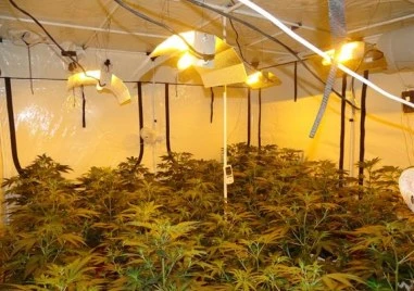 Осем години по-късно: Дело за голяма нарколаборатория в Пловдивско влезе в съда