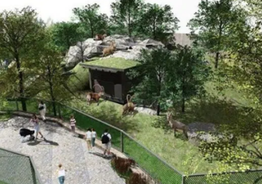 Пловдивският зоопарк ще бъде отворен догодина