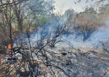 Екоинспекцията разпореди засилени мерки заради повишен риск от пожари в Пловдивско