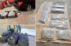 Затвор и условни присъди по делото за пловдивското ОПГ за наркотрафик към Турция