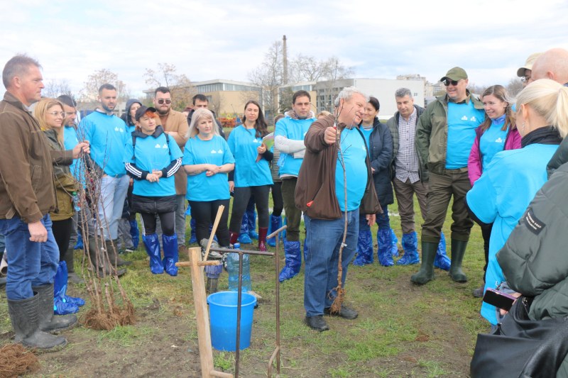 Аграрен университет – Пловдив и ОББ стартираха проект за възстановяване на български сорт ябълка
