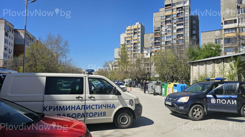 Клошар откри човешки останки в контейнер в Тракия