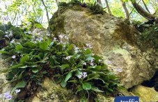 Най-после! Държавата с решителни действия по спорната зона край Горнослав, поставя я под защита