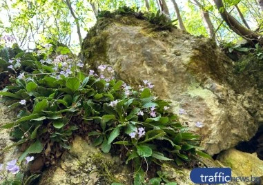 Най-после! Държавата с решителни действия по спорната зона край Горнослав, поставя я под защита