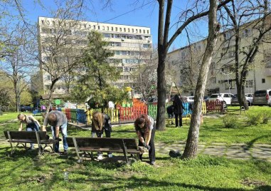 Нови дръвчета пуснаха корени в “Северен“, освежиха пейки