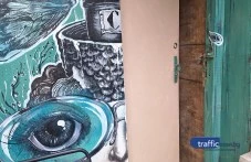 Новородено коте бедства в заключено мазе в Пловдив, институциите безсилни