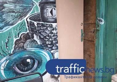 Новородено коте бедства в заключено мазе в Пловдив, институциите безсилни