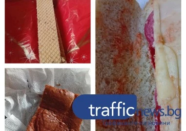 Сигнал за лоша храна и липса на охрана в социален комплекс в Пловдив