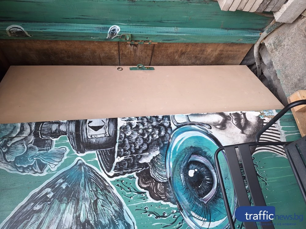 Новородено коте бедства в заключено мазе в Пловдив, институциите безсилни