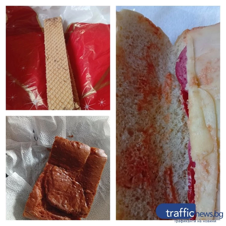 Сигнал за лоша храна и липса на охрана в социален комплекс в Пловдив