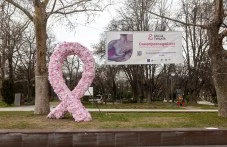plovdiv-e-domakin-bezplatna-275.webp