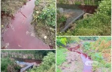 Кървавата следа: Фрапиращи нарушения преди запечатването на завода на братя Къртеви