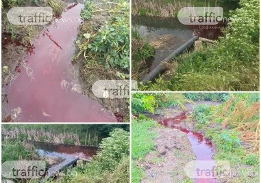 Кървавата следа: Фрапиращи нарушения преди запечатването на завода на братя Къртеви