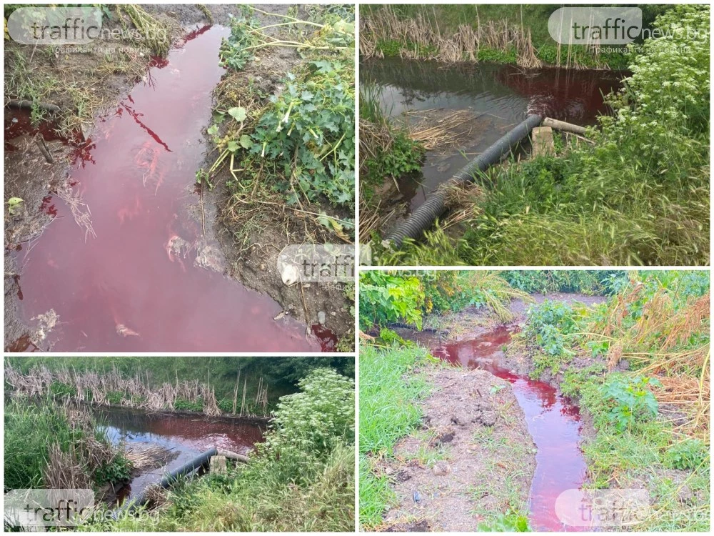 Кървавата следа: Фрапиращи нарушения преди запечатването на завода на братя Къртеви