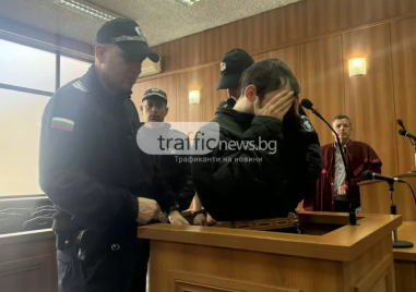 Окован в белезници изправиха на съд Мартин, убил и разчленил баща си